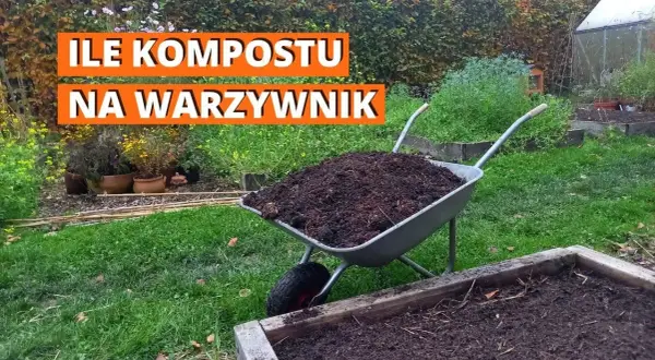 Ile kompostu do ziemi? Kluczowe wskazówki dla zdrowego ogrodu