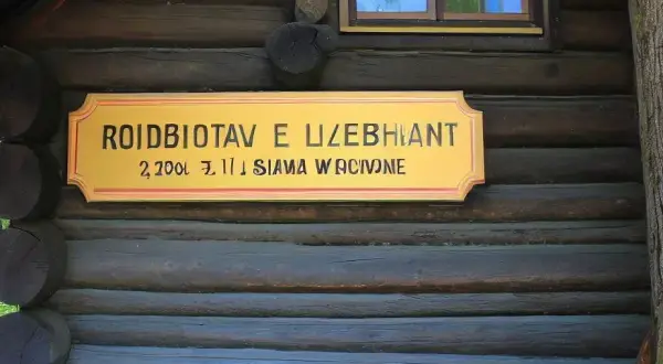 Gdzie urodził się Lewandowski? Zaskakujące fakty o jego życiu