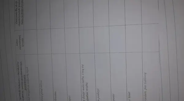 Tabela z cytatami i analizą postaci. W jednym z pól widnieje fraza "Niech się dzieje wola nieba, z nią się zawsze zgadzać trzeba".