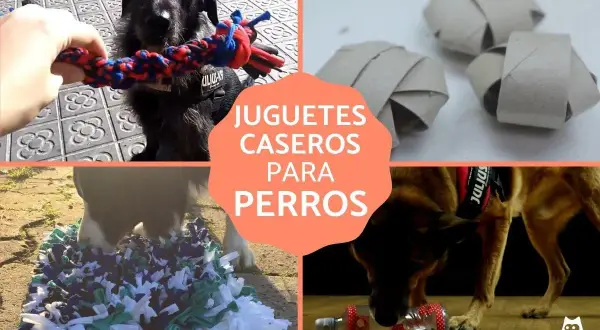 Perros disfrutando de juguetes caseros: un perro muerde una cuerda, otros juegan con rollos de cartón, un tapete de tela y una botella con premios.