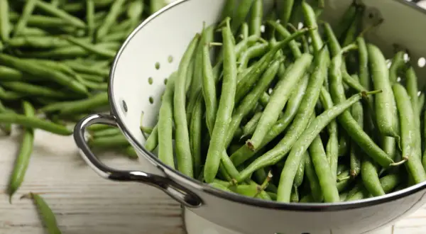 Haricots verts frais et humides dans une passoire, prêts pour la cuisson. Une pile de haricots verts est visible en arrière-plan.