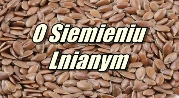 Jak przygotować siemię lniane dla konia, by poprawić jego zdrowie?