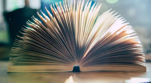 Jak literatura ukazuje problemy egzystencjalne i polityczne w życiu człowieka