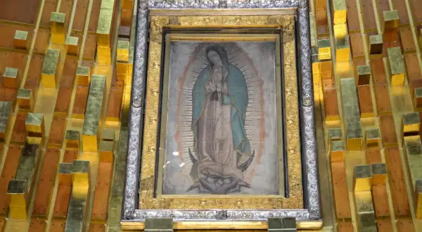Obraz Matki Boskiej z Guadalupe, którego niezwykłe właściwości badała NASA, w złotej ramie na tle drewniano-złotej ściany.