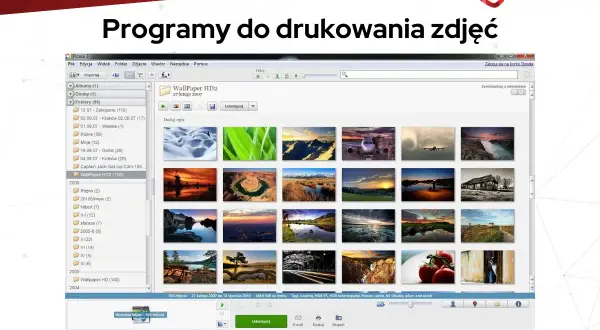 Program do katalogowania zdjęć Picasa wyświetla galerię zdjęć krajobrazowych, samolotów i innych.