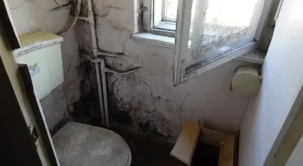 Jak napisać pismo do spółdzielni mieszkaniowej w sprawie grzyba, aby skutecznie rozwiązać problem?