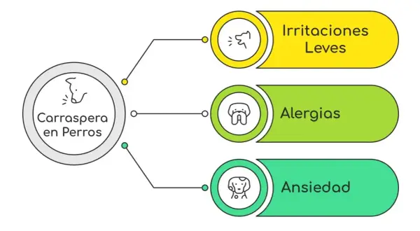 Diagrama sobre carraspera en perros: irritaciones leves, alergias y ansiedad. Mi perro tose como si tuviera algo en la garganta.