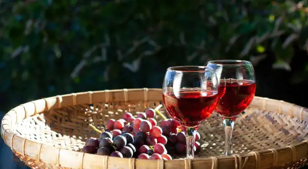 Due calici di vino rosso e un grappolo d'uva su un cesto di vimini, un assaggio dei vini del Salento.