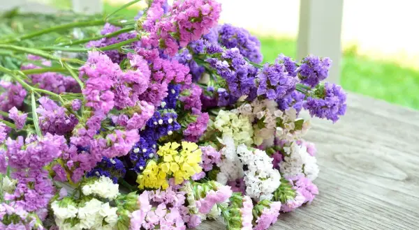 Bukiet kolorowych kwiatów limonium w odcieniach różu, fioletu, bieli i żółci leży na drewnianym blacie.
