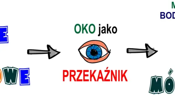 Bodźce wzrokowe trafiają do oka, które jest przekaźnikiem. Mózg odbiera te bodźce i dzięki temu widzimy.