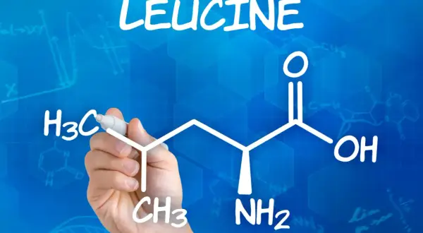 La mano disegna la formula della leucina, un amminoacido essenziale. Quanta leucina al giorno è ottimale per la crescita muscolare?