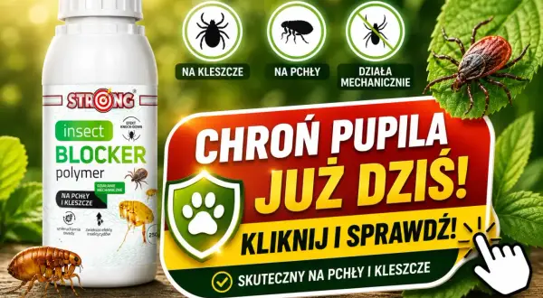 Oprysk na komary i kleszcze dla pupila. Skuteczna ochrona przed insektami.
