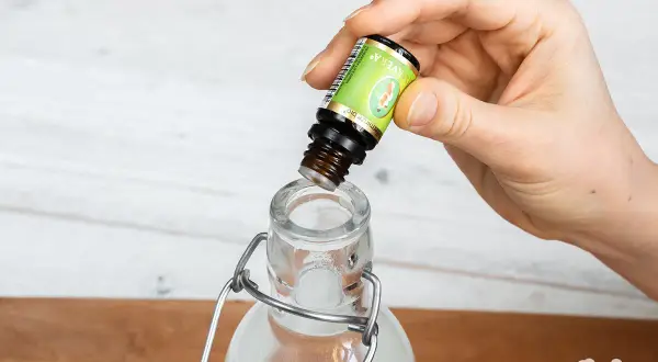 Eine Hand tropft ätherisches Öl in eine Glasflasche, um Mundwasser selber zu machen.