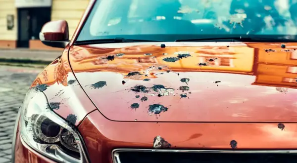 Vogelkot entfernen hausmittel: Die Motorhaube eines orangefarbenen Autos ist mit vielen dunklen Flecken übersät.