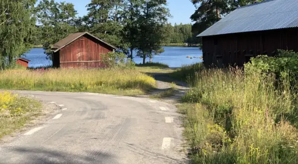 Väg leder mot Långvinds bruk med röda byggnader vid en sjö. Sommarängar och träd.