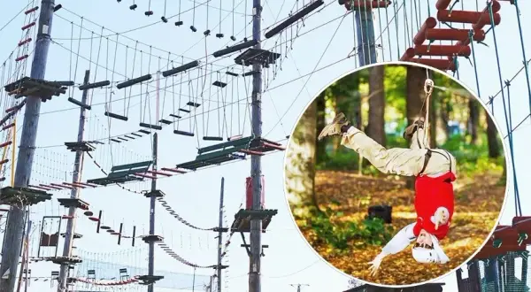 Najlepsze parki linowe w Podlasiu – emocjonujące przygody wśród drzew