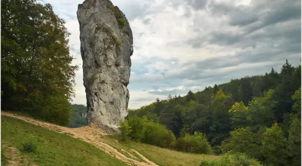 Maczuga Herkulesa, wysoka skała wapienna, góruje nad zielonym zboczem i lasem. Gdzie jest? W Ojcowskim Parku Narodowym.