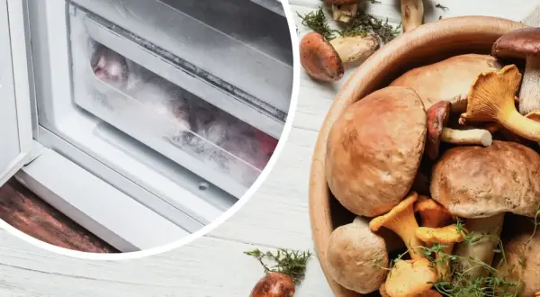 Mrożenie grzybów: Jak długo i jak mrozić, by smakowały rok?