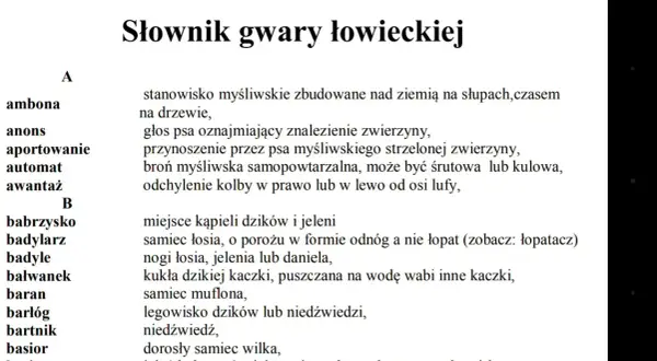 Gwara łódzka słownik: dlaczego mówimy "migawka" i "robion"?