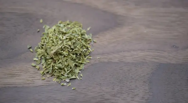 Getrockneter Oregano, ein beliebtes Gewürz, das oft in der mediterranen Küche verwendet wird. Was ist Oregano? Ein Hauch von Aroma für Ihre Gerichte.