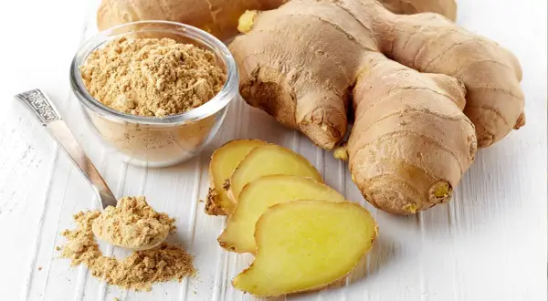 Frische Ingwerwurzeln, Scheiben und Pulver in einer Schale. Getrockneter Ingwer gesund und vielseitig einsetzbar.