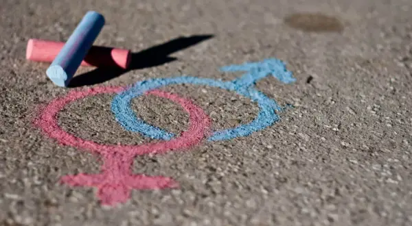 Kredą na chodniku narysowane symbole płci. Różowy symbol dziewczyny i niebieski symbol chłopca, obok leżą kredy. To pokazuje, co lubią dziewczyny i chłopcy.