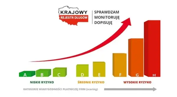 KRD czy BIG? Wybierz mądrze! Porównanie i co musisz wiedzieć