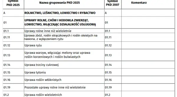 KRS jakie spółki: poznaj wszystkie formy działalności w Polsce