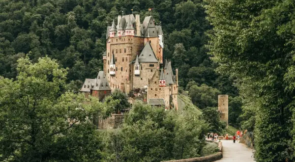 Zamek Eltz, jak z bajki, góruje nad lasem. Droga prowadzi do niego, niczym część szlaku Orlich Gniazd.