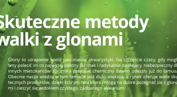 Skuteczne sposoby na usunięcie glonów z ozdób akwariowych