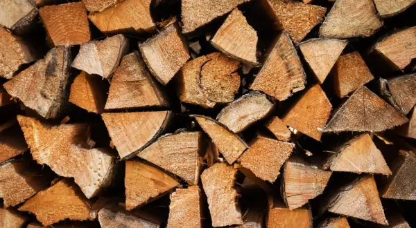 Stapel von gespaltenem Holz, einige Stücke zeigen deutliche Jahresringe, was auf eschen hartholz oder weichholz hindeutet.