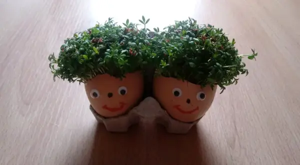 Dwa uśmiechnięte ludziki z rzeżuchy na głowie, świetne pomysły do przedszkola.