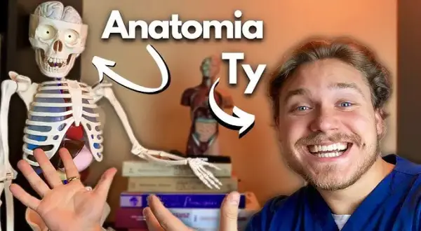 Jak uczyć się anatomii mądrze? Skuteczne metody i narzędzia.