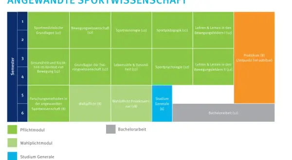 Studienplan für Angewandte Sportwissenschaft: Pflicht- und Wahlpflichtmodule, Praktikum und Bachelorarbeit im Sportmanagement.