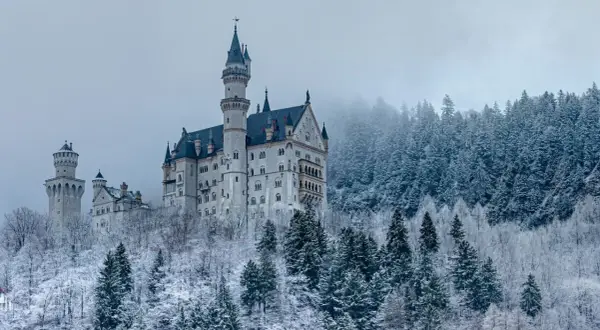 Neuschwanstein slott reser sig majestätiskt ur en snötäckt skog. En sagolik vy i vinterlandskap.