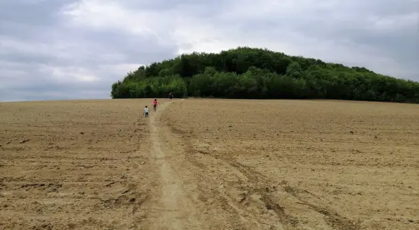 Dzieci idą ścieżką przez puste pole w kierunku zalesionego wzgórza, zwanego Górą Dorotka.