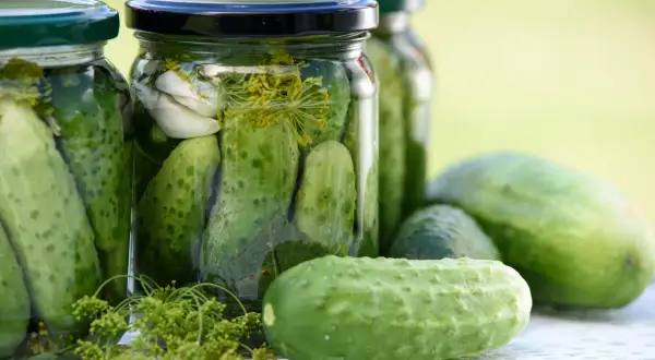 Burkar med inlagd gurka, vitlök och dill. Perfekt för ett gott saltgurka recept.