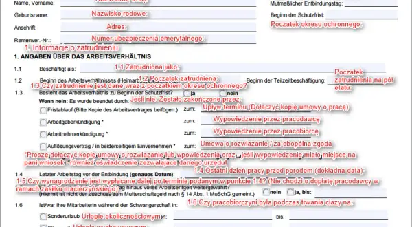 Kto wypłaca macierzyński po ustaniu zatrudnienia? Sprawdź, co musisz wiedzieć