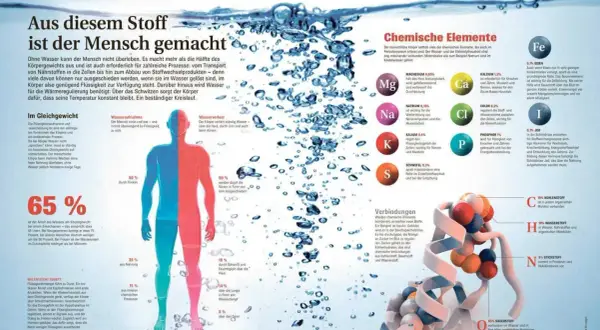 Der Mensch besteht zu 65% aus Wasser und zu 18% aus Kohlenstoff. Weitere Elemente wie Sauerstoff, Stickstoff und Wasserstoff sind essenziell.