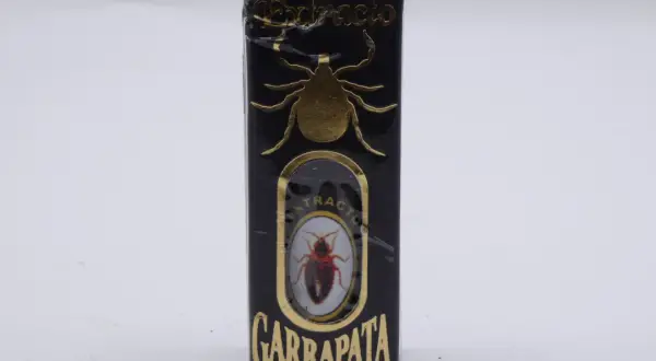 Para que sirve el extracto de garrapata en rituales de amor y éxito