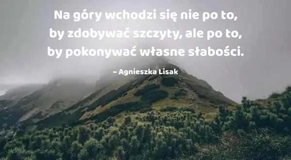 Góry w mglistym krajobrazie. Cytaty o zdobywaniu szczytów przypominają, że prawdziwe zwycięstwo to pokonanie własnych słabości.