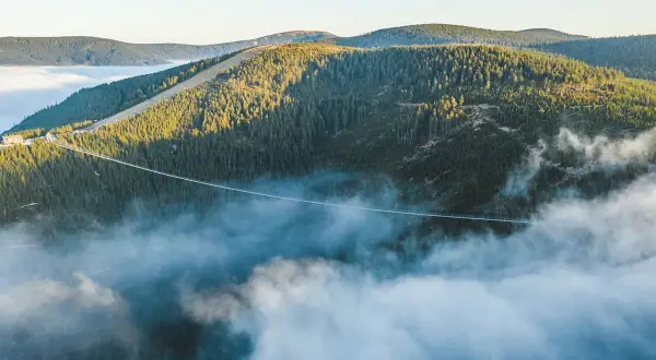 Długi, wiszący most w Czechach przecina gęsty las, unosząc się nad morzem mgieł.