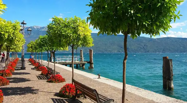 Viste incantevoli per le passeggiate a Gargnano, con alberi verdi, fiori rossi e il lago scintillante.