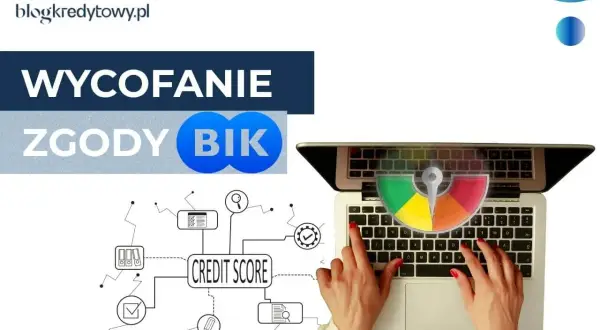 Jak usunąć wpis w BIK? Prawda o czyszczeniu i Twoje kroki