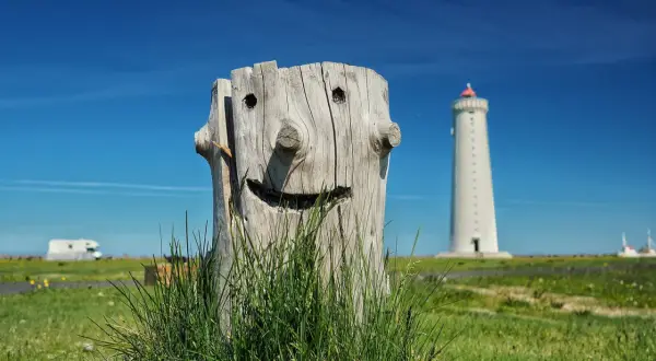 Uśmiechnięty pień drzewa z latarnią morską w tle. Co to jest fotografia? To uroczy widok na tle błękitnego nieba.