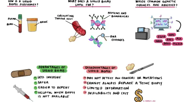 Eine **liquid biopsy** wird aus Blut oder Urin entnommen, um zirkulierende Tumorzellen, Proteine, Biomarker und RNA-Veränderungen zu analysieren. Sie ist weniger invasiv und sicherer als eine Gewebebiopsie.