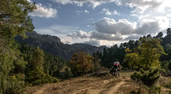 Ciclista en ruta GR 247 en bici, pedaleando por un sendero entre pinos y montañas bajo un cielo nublado.