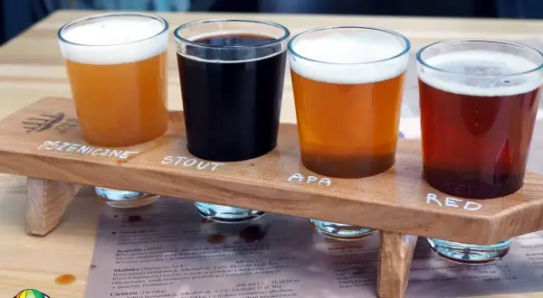 Degustacja piw: pszeniczne, stout, APA i red ale. Idealna na wieczór z przyjaciółmi, by spróbować różnych stylów, w tym pinta angielska.