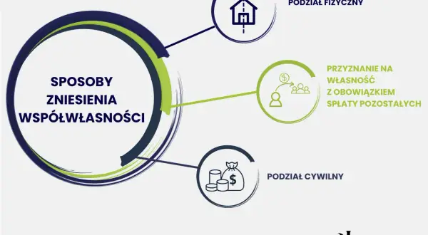 Diagram przedstawia sposoby zniesienia współwłasności: podział fizyczny, przyznanie na własność z obowiązkiem spłaty oraz podział cywilny.