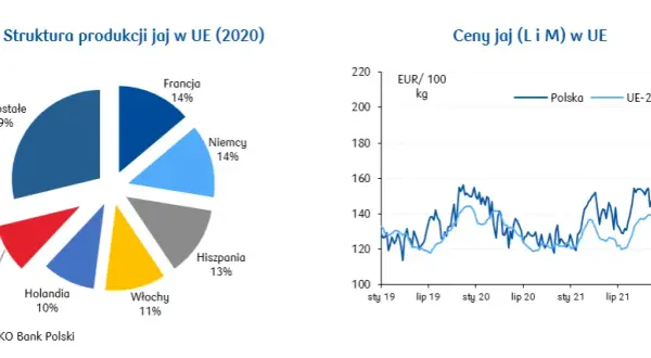 Ile można zarobić na sprzedaży jajek? Zaskakujące fakty i analizy!